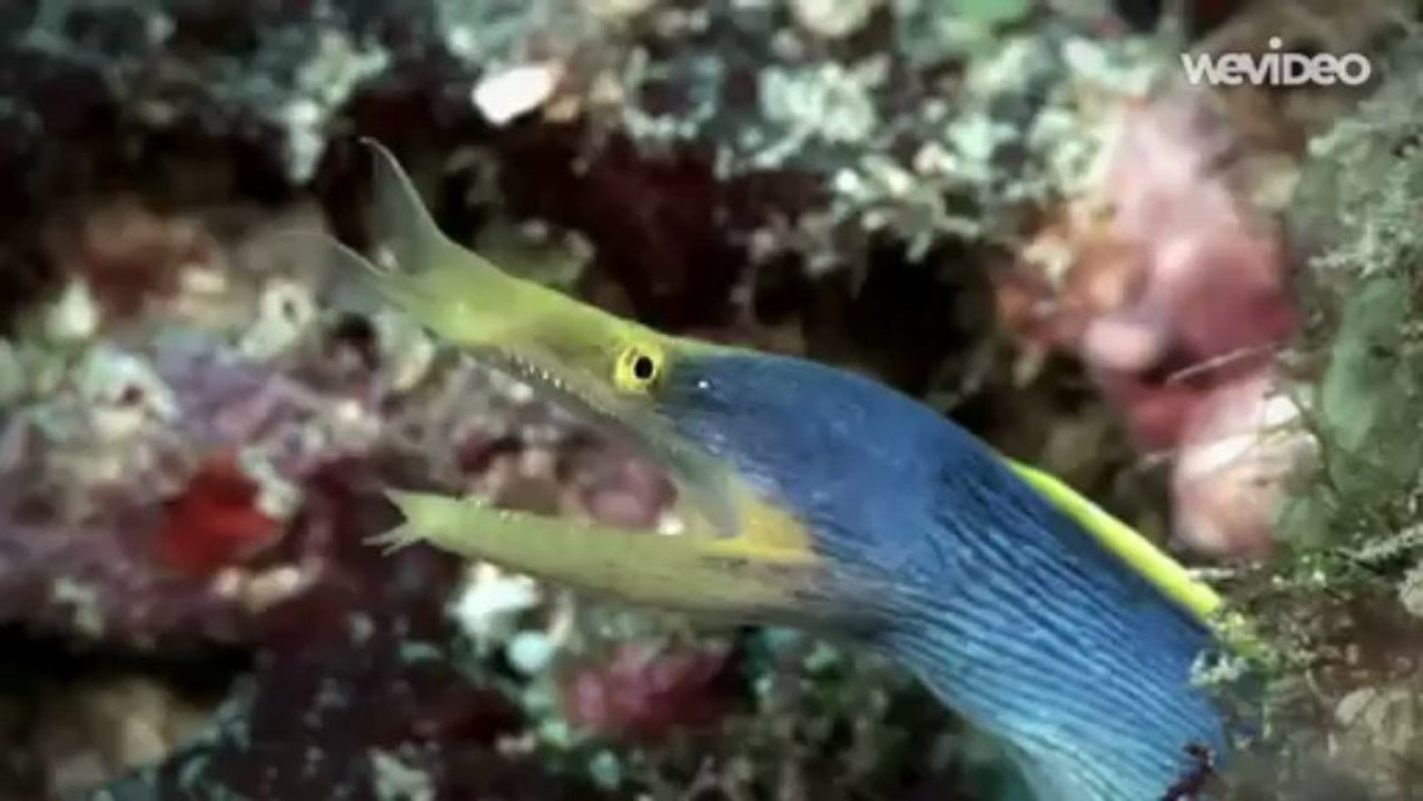 La Belleza de la Naturaleza