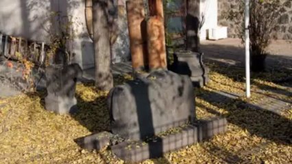 Discover Turkey - Kars - Museum of Archeology