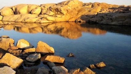 A Jesuit Primer by James Martin, SJ