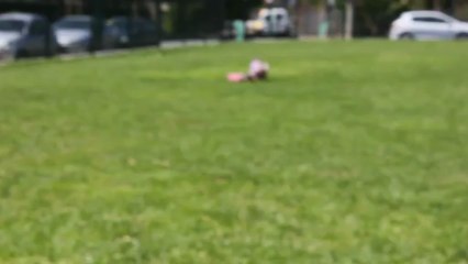 Amour, Geisha et Happiness le 5 mai 2013 005