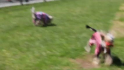 Amour, Geisha et Happiness le 5 mai 2013 001