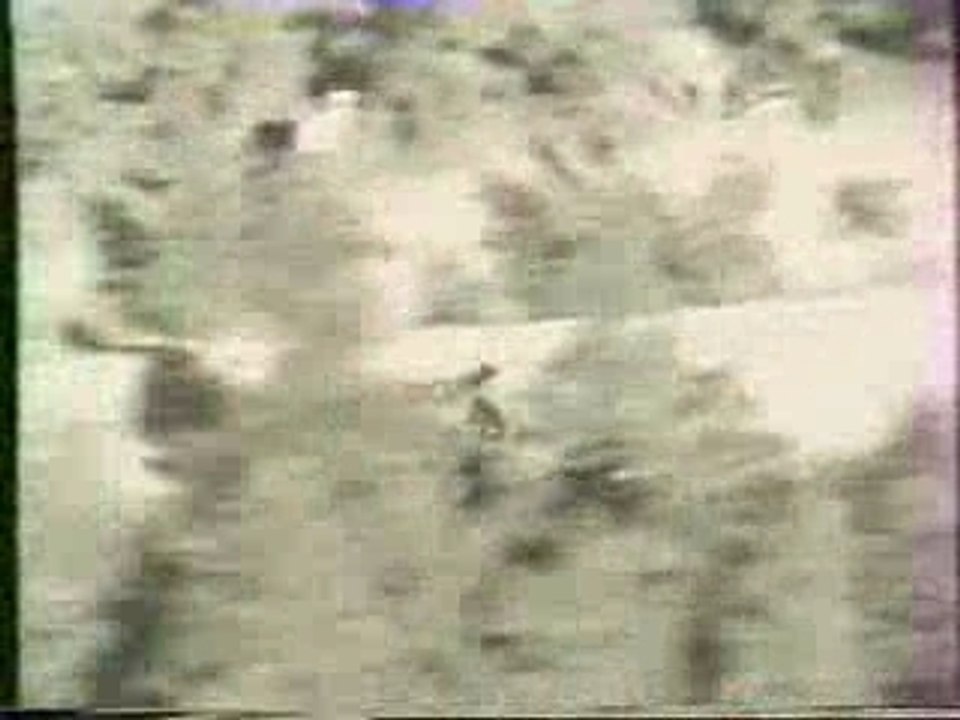 Rally - Ari Vatanen in Peugeot 205T16