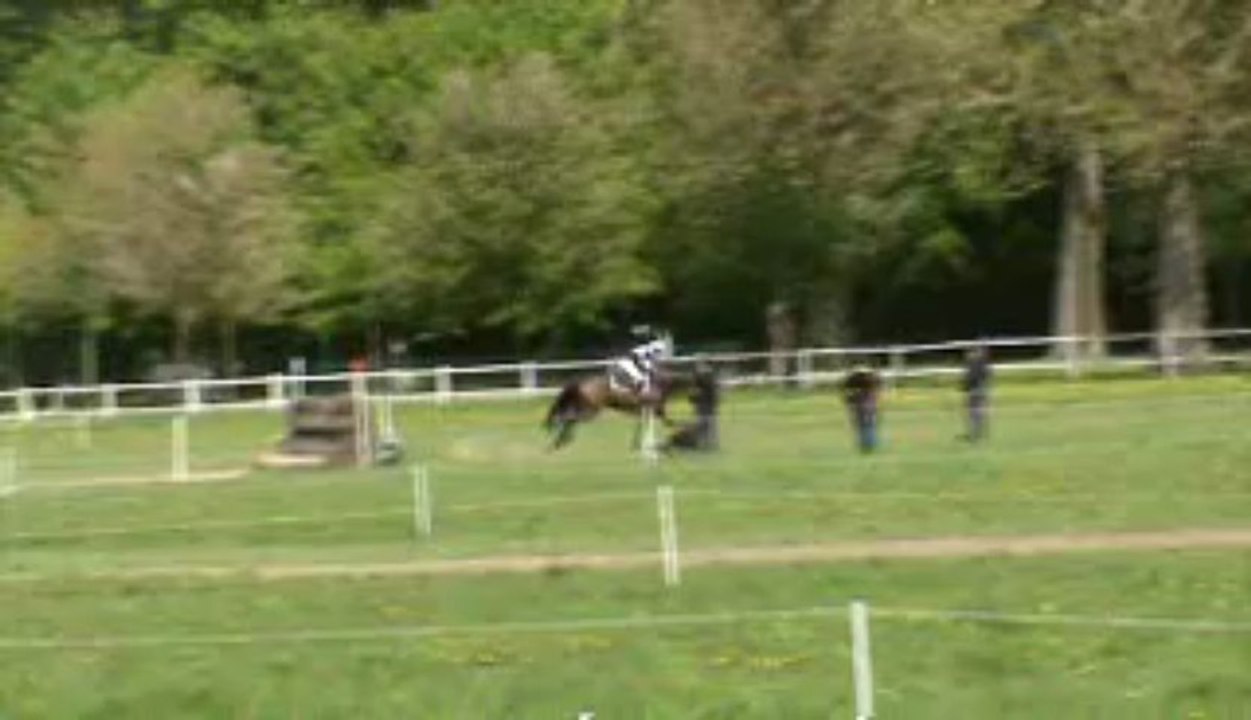 Cross Alice Jardy 3
