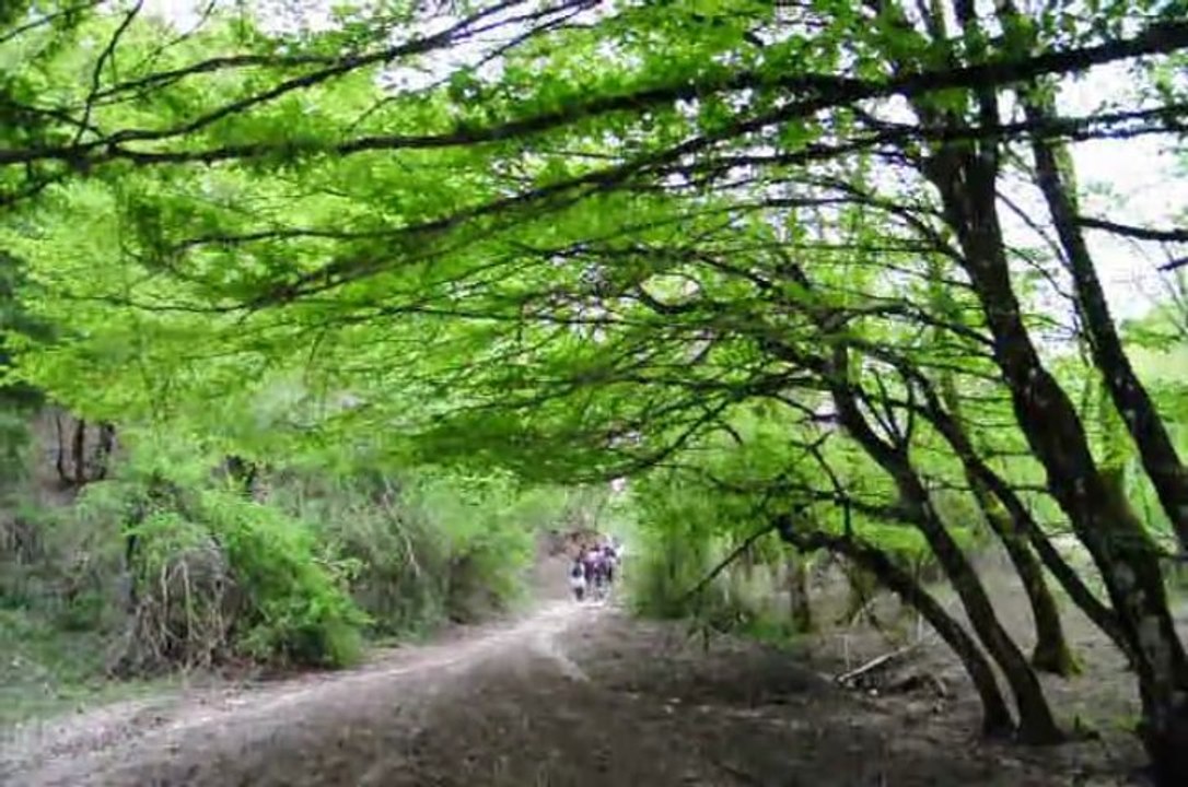 MERC.1-5-13 MONTI LUCRETILI: DAL CASTAGNETO DI S.POLO DEI CAVALIERI ALLA PIEVE DEI RONCI.
