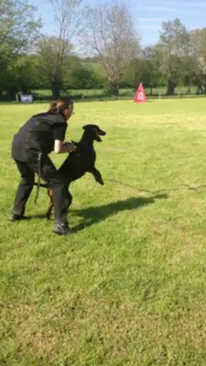 Face Viona VD Zonser Heide - Nick Vannerom