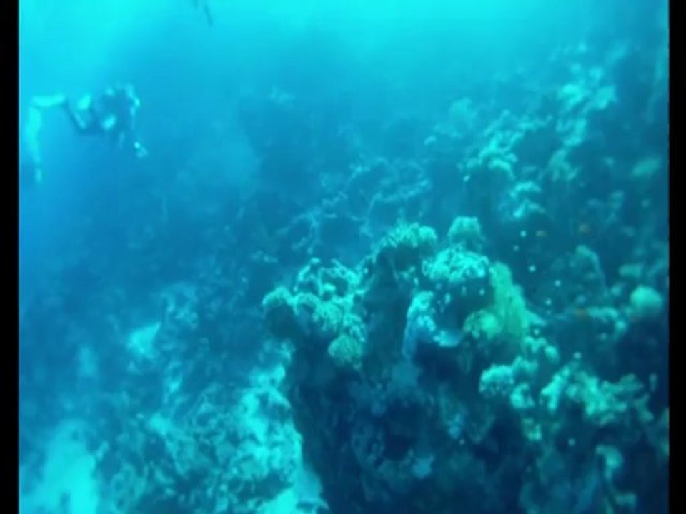 plongee derivante  SAFAGA  2012