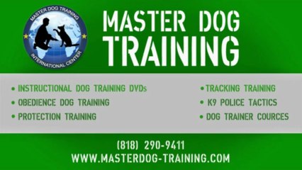 Obedience Dog Training DVD #3 - Motivation & Training Equipment
