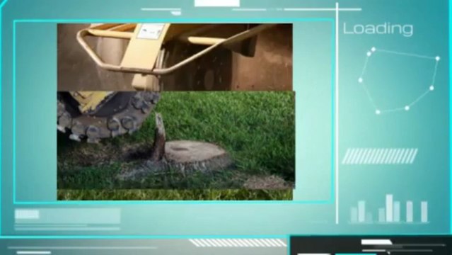 Samson Tree Care (937) 301-8888