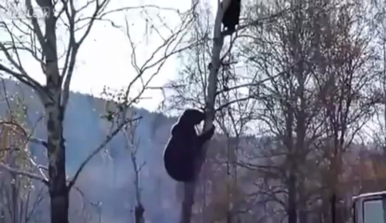 Chasse à l'homme