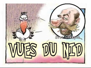 Vues du nid - Emma la cigogne à la piscine de Masevaux