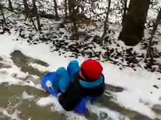 mes loulous en mode luge