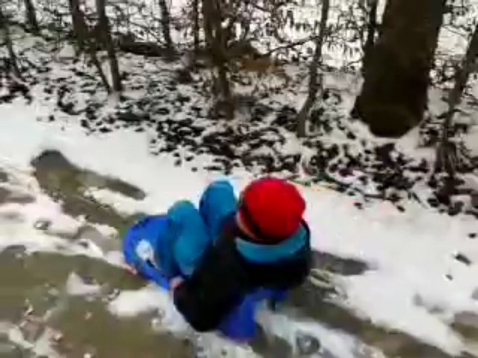 mes loulous en mode luge