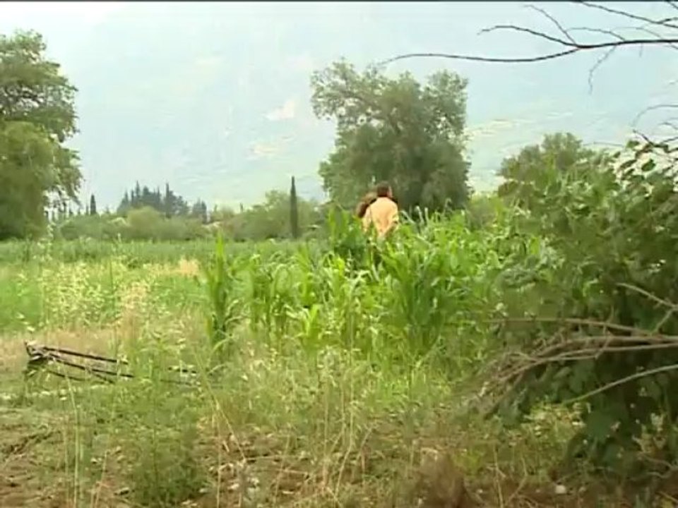 Δυνατότητες για την καλλιέργεια λαχανόκηπου, απ...