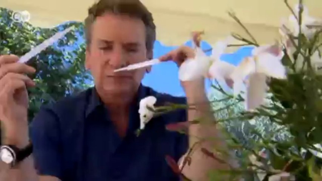 Ausstellung "Nº 5 Culture Chanel" in Paris | Euromaxx