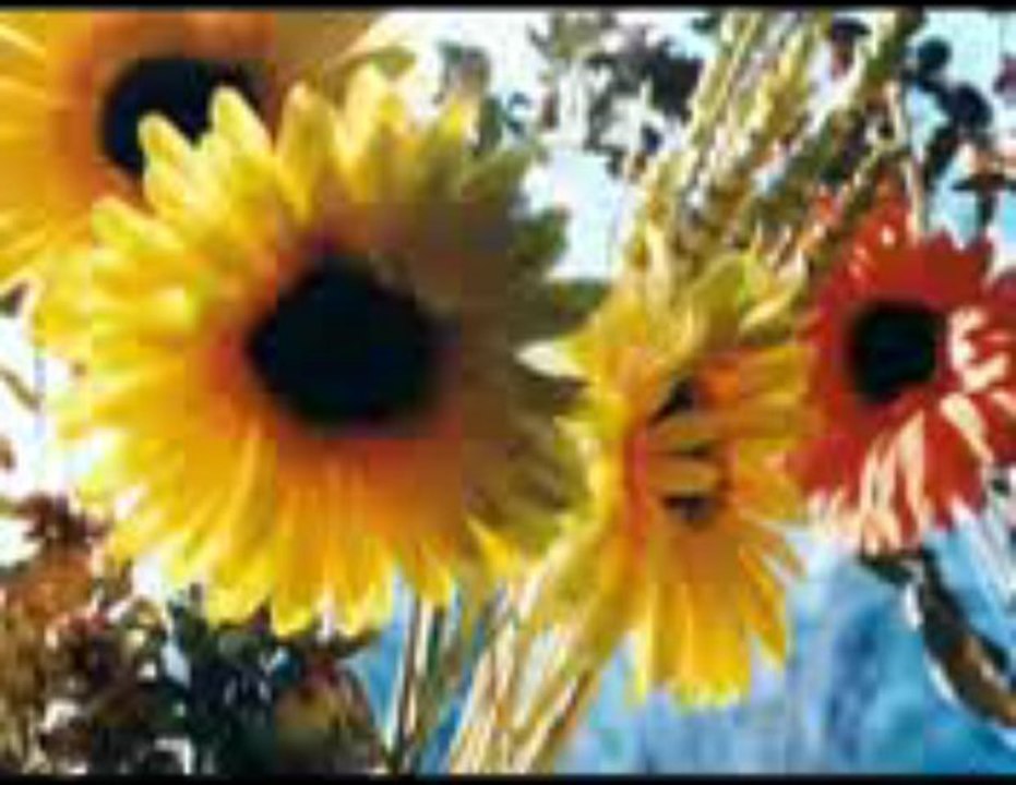 Legião Urbana - Perfeição