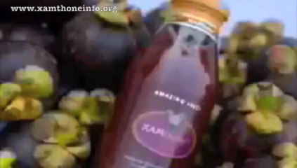 Pendapat Dokter Tentang Kulit Manggis Xamthone plus