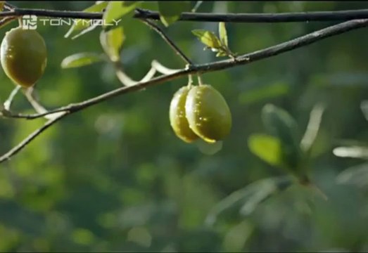 20111018 T-ara 宋鐘基 Tony Moly CF Ver.A Cinema 30秒版