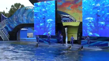 Show Seaworld