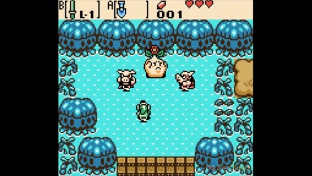 Soluce Zelda Oracle of Ages : Le sentier Bojo