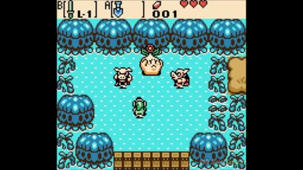 Soluce Zelda Oracle of Ages : Le sentier Bojo
