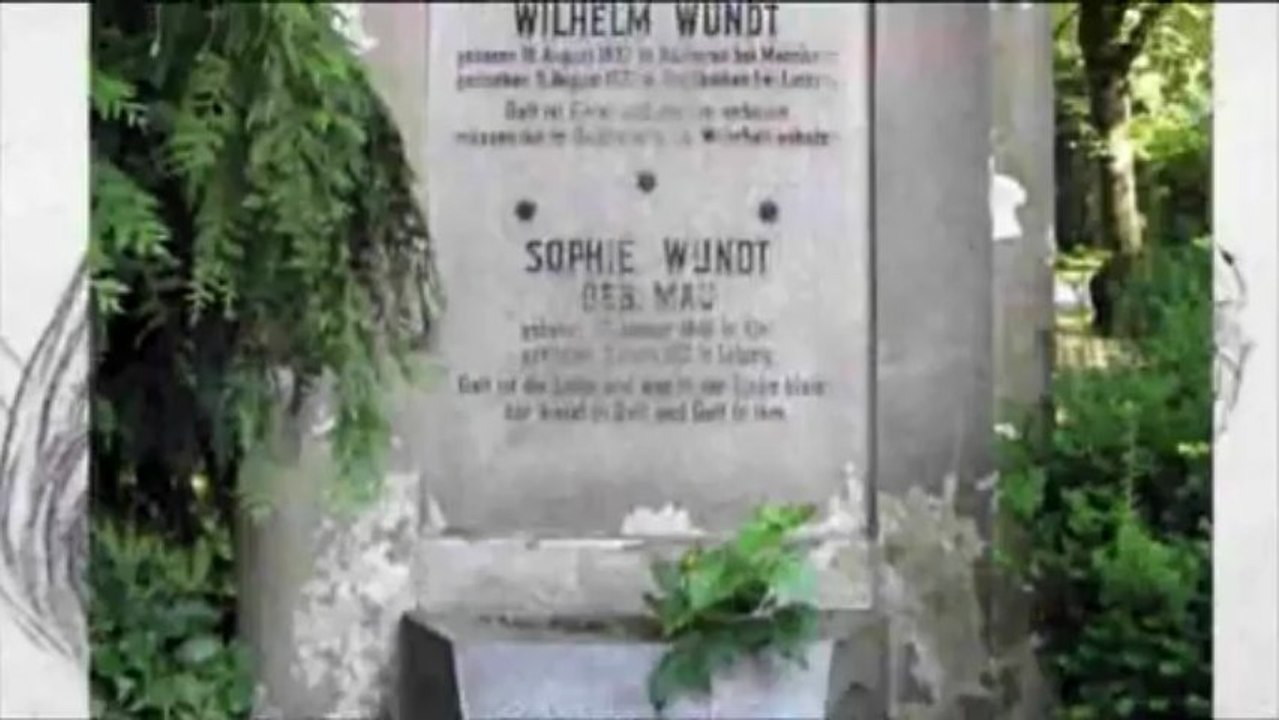 08 06 2012 Serie Diccionario Biográfico de Historia de la Psicología Wilhelm Wundt