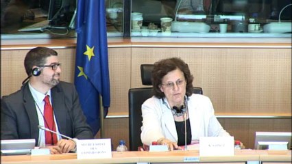 Hélène Flautre sur les relations UE Turquie  7 mai 2013