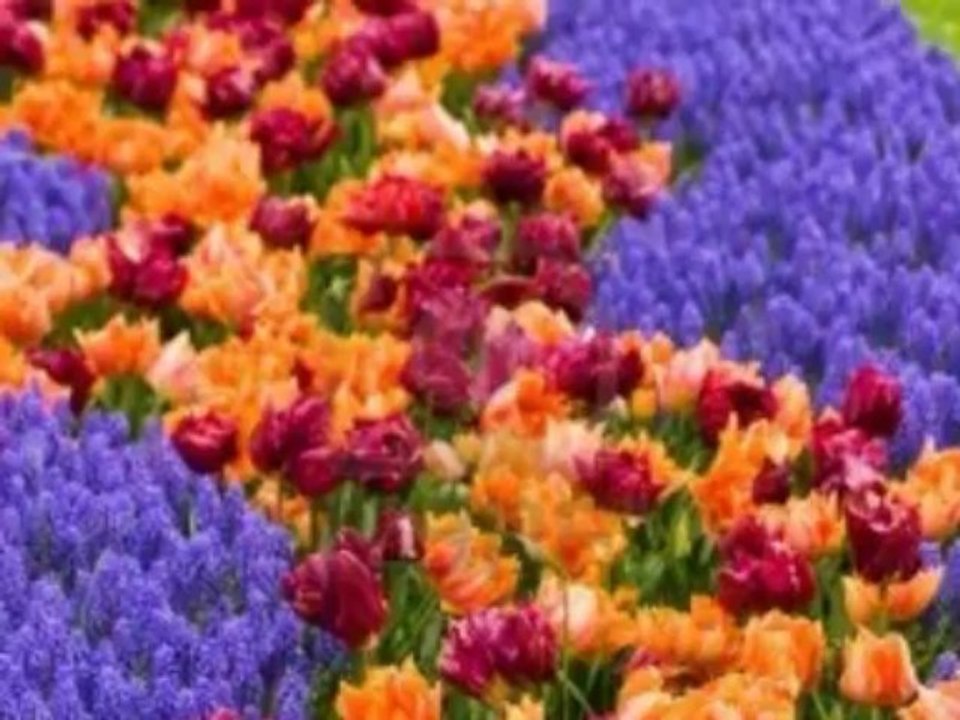 Si j'étais ton chemin Yves Duteil