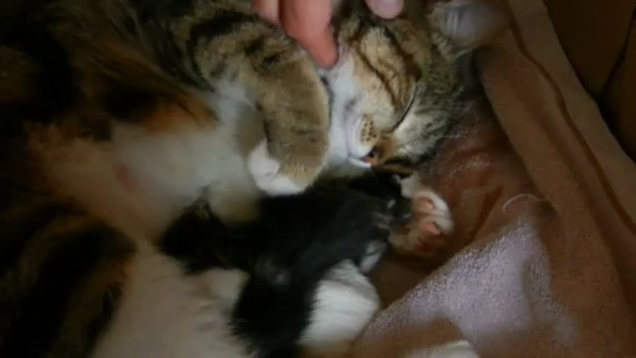 Tout le monde dans la caisse