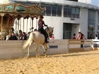 Salon du cheval 2006