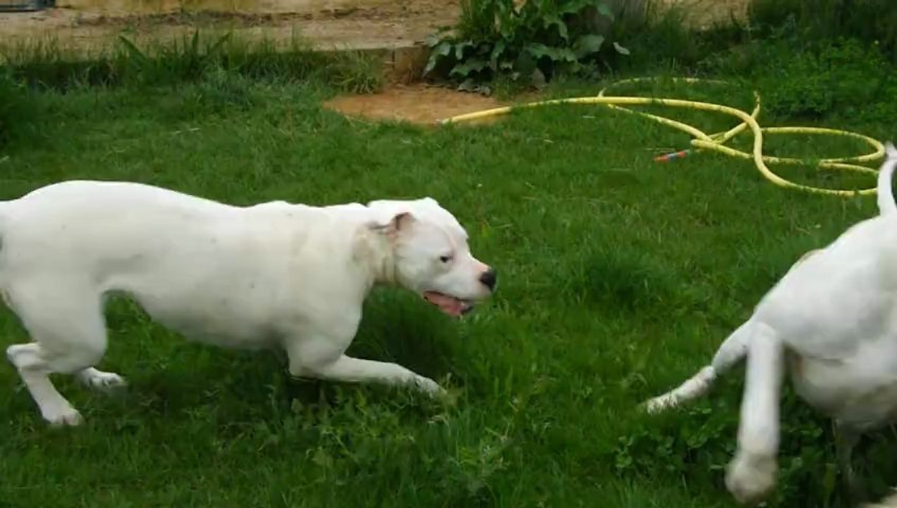 Hinas (9mois) & Eidos (5ans) magnifiques !