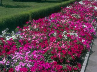 La mer est immense - Reprise