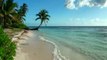 Relaxing Sounds of Waves, Tropical Beaches with Ocean Sounds