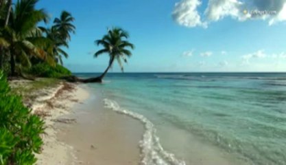 Télécharger la video: Relaxing Sounds of Waves, Tropical Beaches with Ocean Sounds