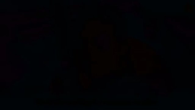 Far Cry 3 : Blood Dragon - Trucs et astuces - Voie du Prédateur - Des oiseaux de caractère