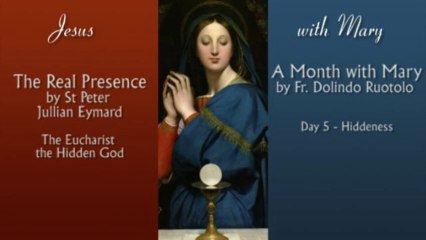 Hiddenness: God and Mary - 2 Pillars #17