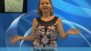 Tile Liquidation Auction