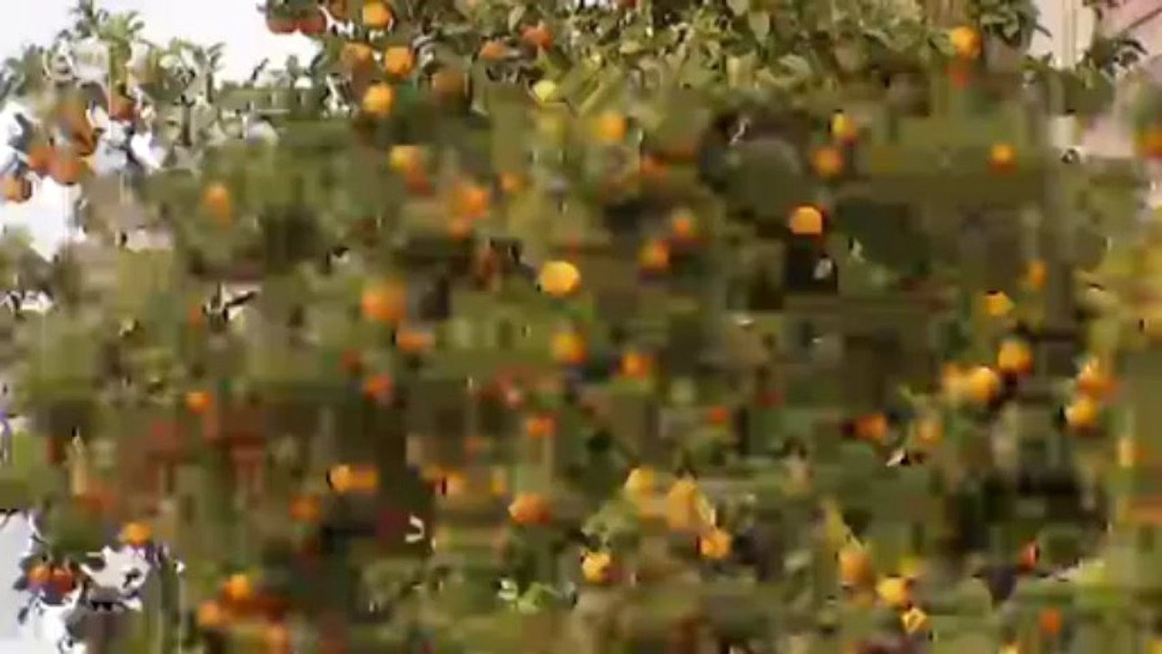 Kalbsbäckchen mit Sherry | Euromaxx