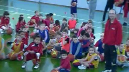 HARLEM SHAKE BEAUVAIS BCO