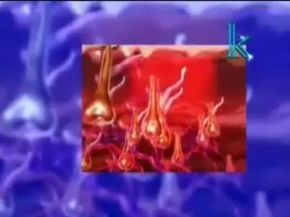 Dilaser Jornada de Actualización en Láser, IPL y RF..flv