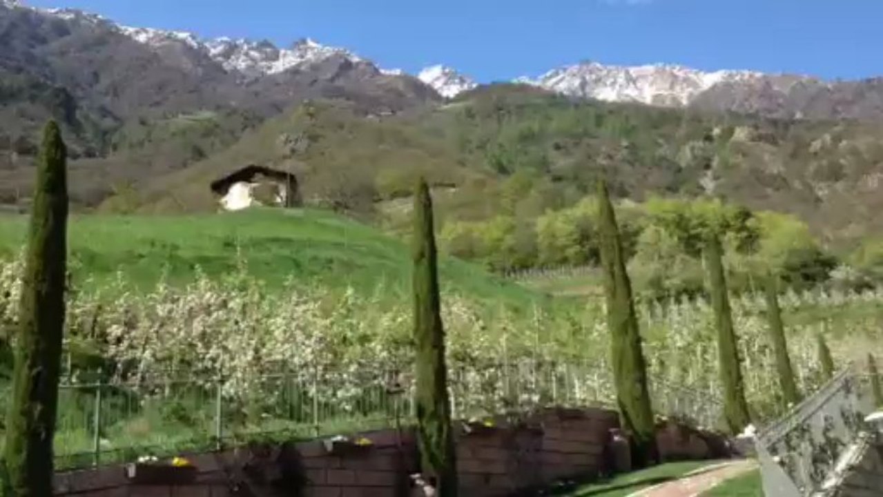 Apfelblüte um den Preidlhof