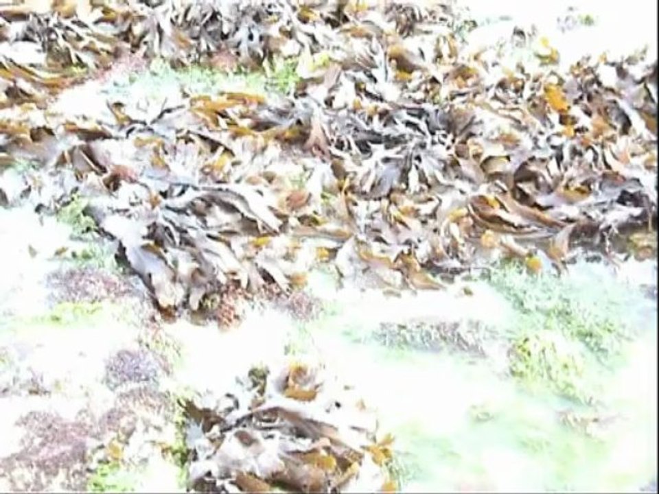 Entre terre et mer (2004)