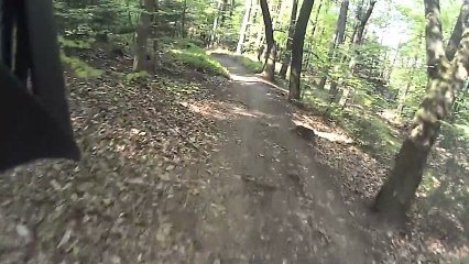 Descente VTT SAVERNE Vosges du Nord