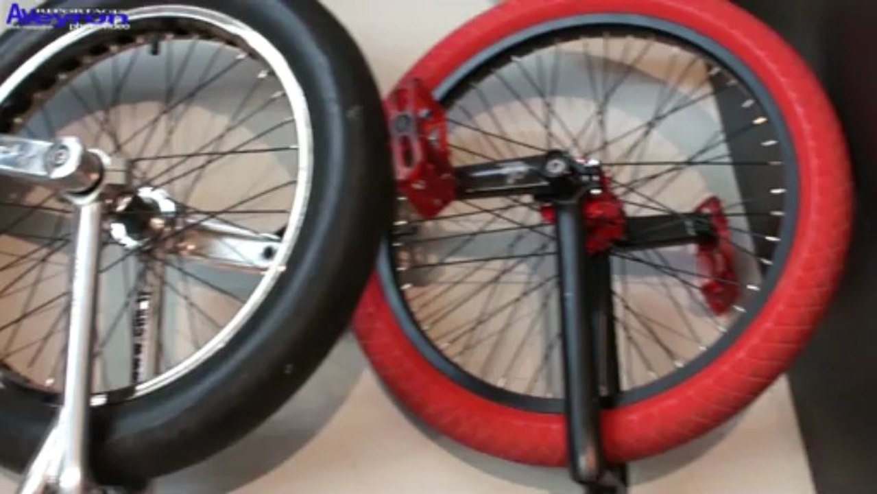 Rencontres régionales des écoles de cirque.