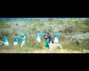 DK Bose Movie Padipoya Song Trailer