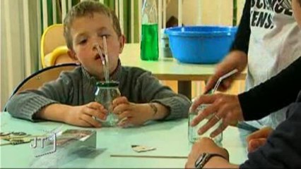 Loisirs : Découverte de la fourmilière (Vendée)