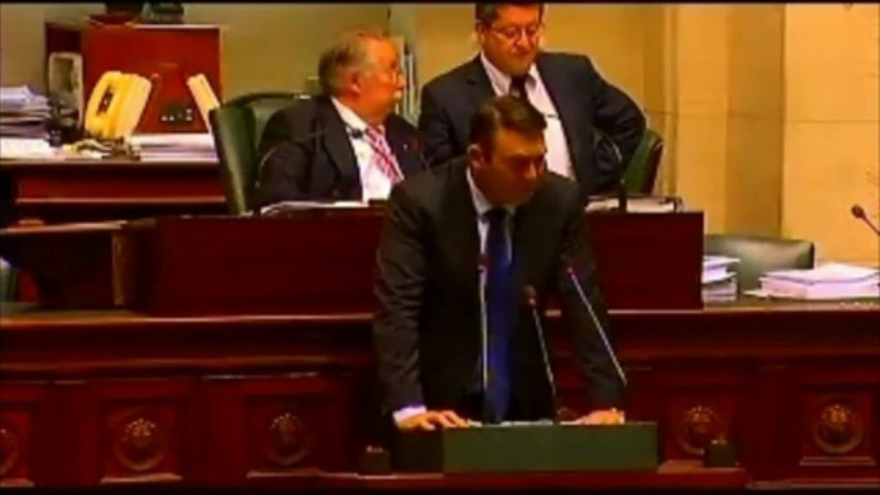 Denis Ducarme - Equilibre Linguistique Défense nationale extrait 1