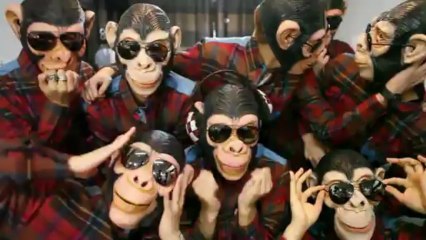 ZE A The Lazy Song Fun Ver.