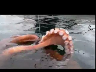 Chống thấm,sửa nhà tại quận 5 call 0907 323 053