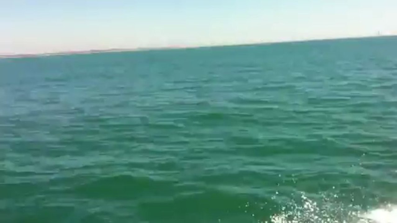 Au large de la Paracou