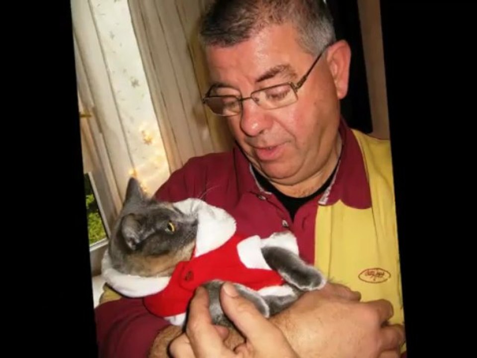 En l'honneur de Mon Capitaine, un des Anges gardiens du petit monde de Loona  !